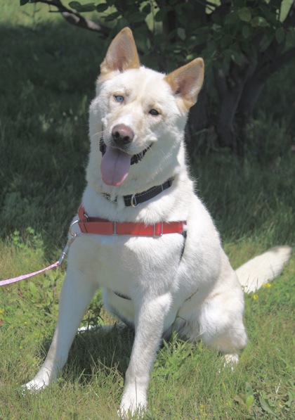 Yukon