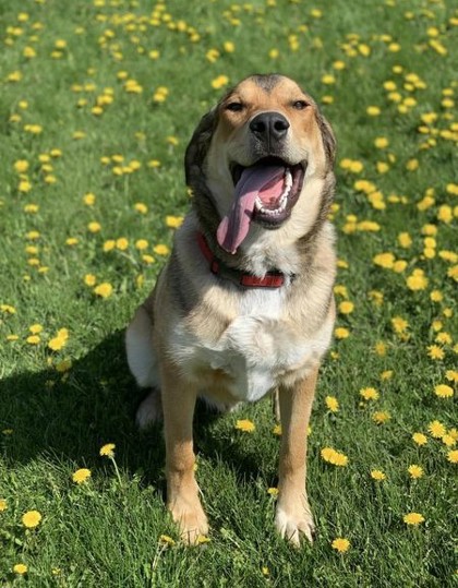 Max
