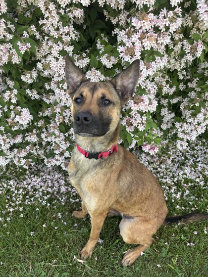 Bonnie photo