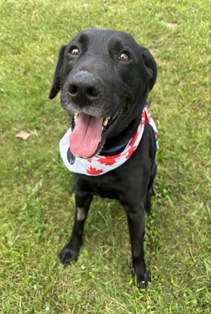 Finn photo