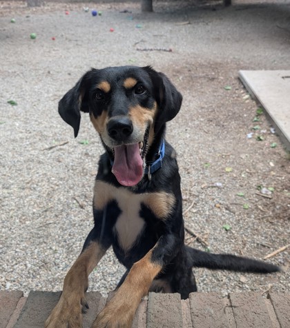 Roxy photo
