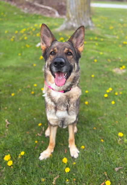 Lettie photo
