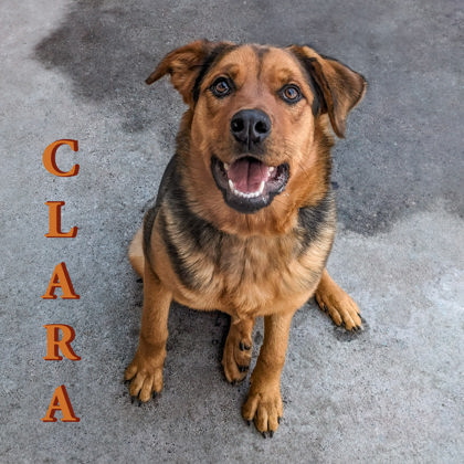 Clara photo