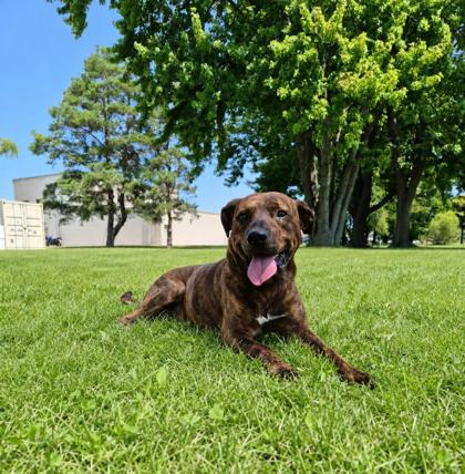 Charlie photo