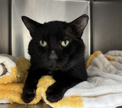 Bobby Big Cheeks photo