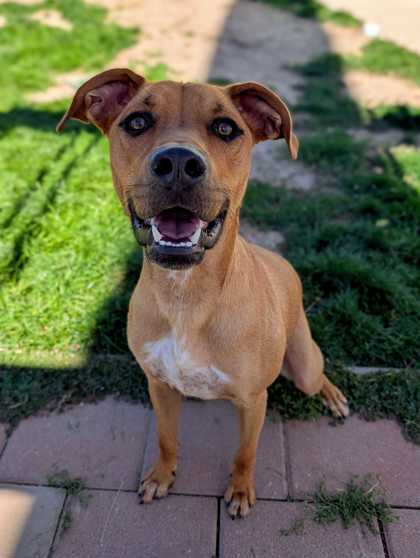 Cooper photo
