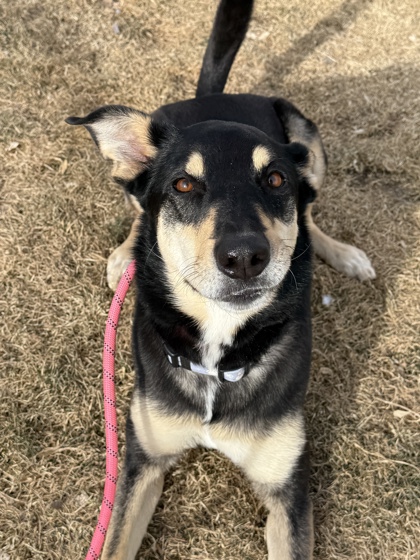 Zula photo