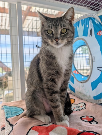 Bootsie photo