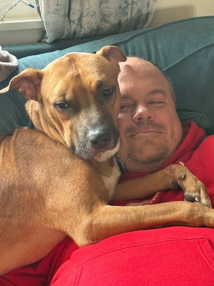 ERIC - Pit Bull Terrier / Mix available for adoption