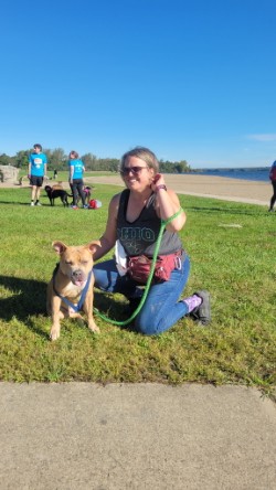 JOLLY RANCHER - American Pit Bull Terrier / Mix available for adoption