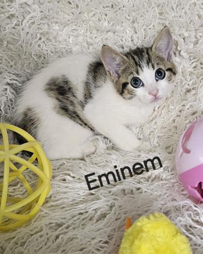 Eminem
