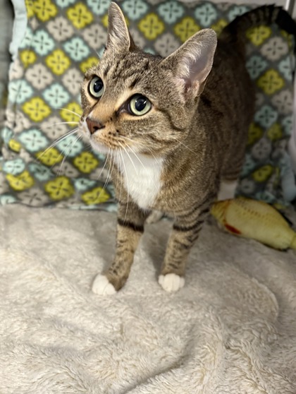 Ziva @ PetSmart