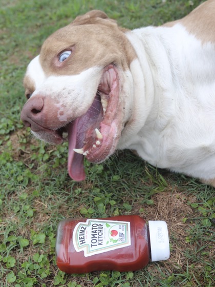 Ketchup 3