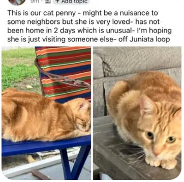 Penny