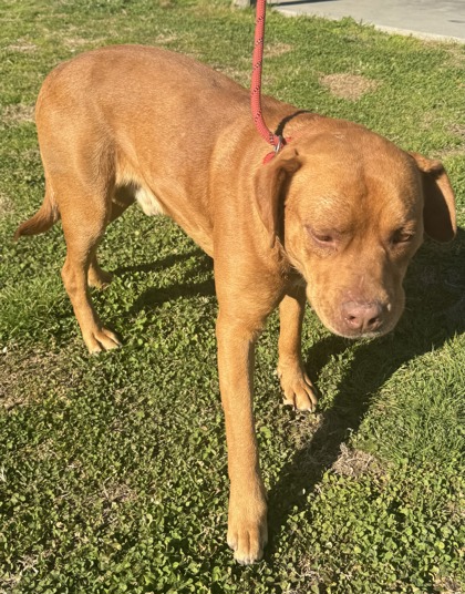 "Stone"Cold Steve Austin