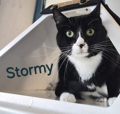 Stormy