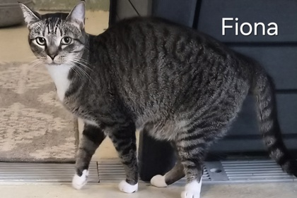 Fiona