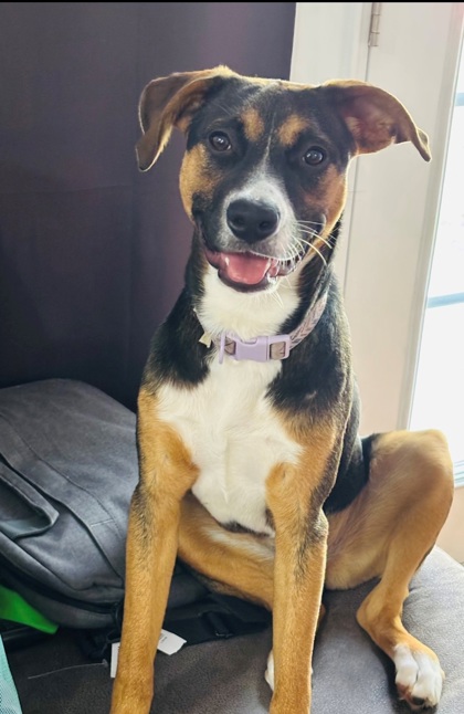 Ellie fka Pearla