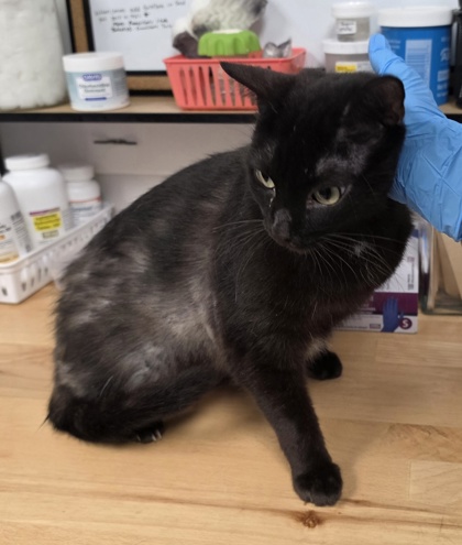 Binx