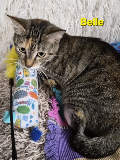 Belle
