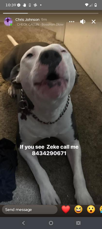 Zeek