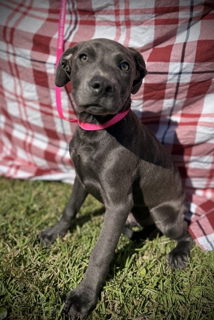 Bone (@ Playcard Event) 2