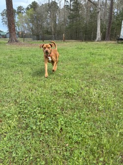 "Stone"Cold Steve Austin 3