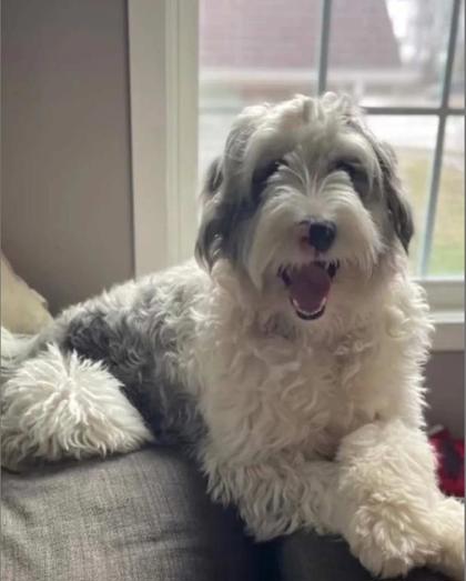 Maizie