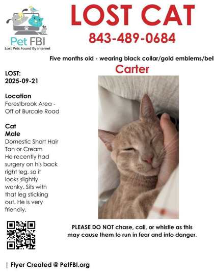 Carter