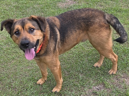 Waylon 3