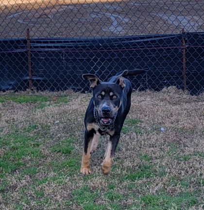 Marshall aka September 3