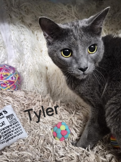 Tyler @ PetSmart