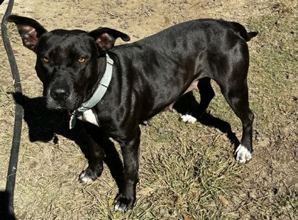 Miranda Lambert(HW+)