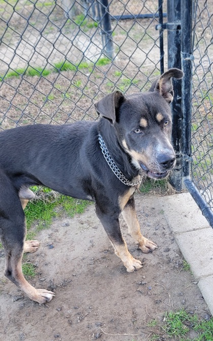 Marshall aka September