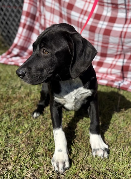 Beast (@ Playcard Event) 3