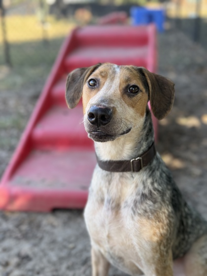 Max