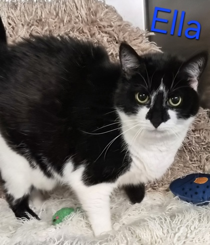 Ella