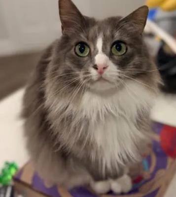 Greta