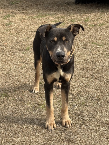 Marshall aka September