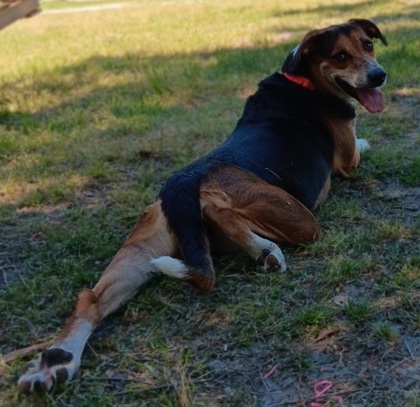 Lucy Lu 3