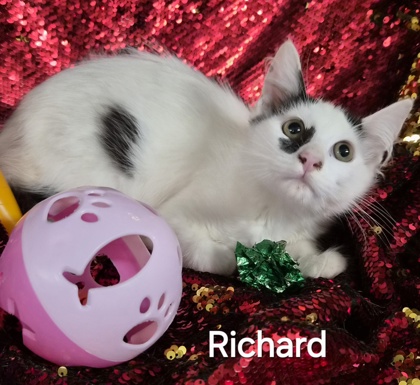 Richard