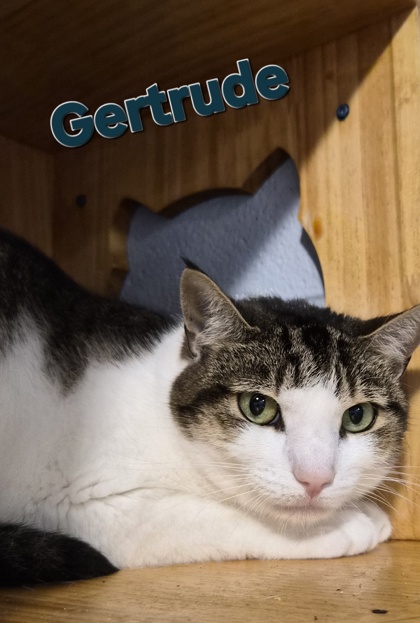 Gertrude