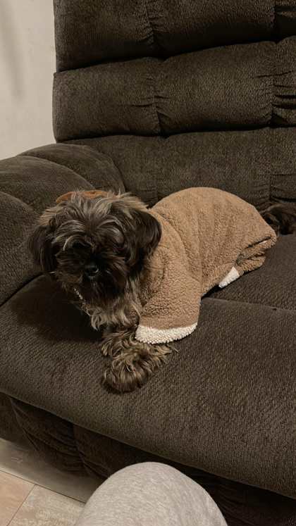 Muneco