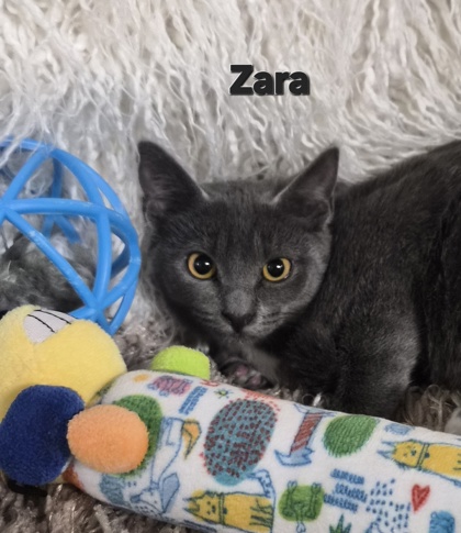 Zara