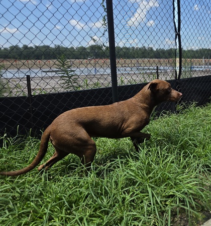 Maggie 2
