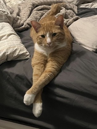 Walter