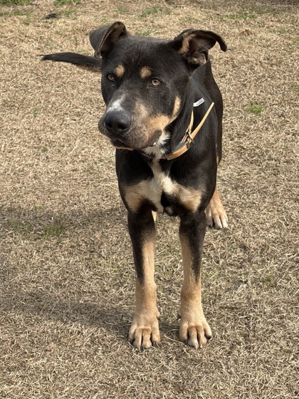 Marshall aka September 3