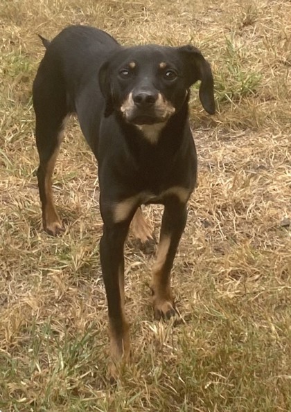Buster