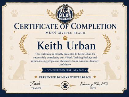 Keith Urban 3