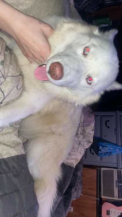 Tundra 2
